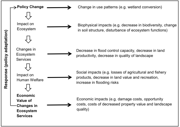 The pathway from policy change to socio-economic impacts.png
