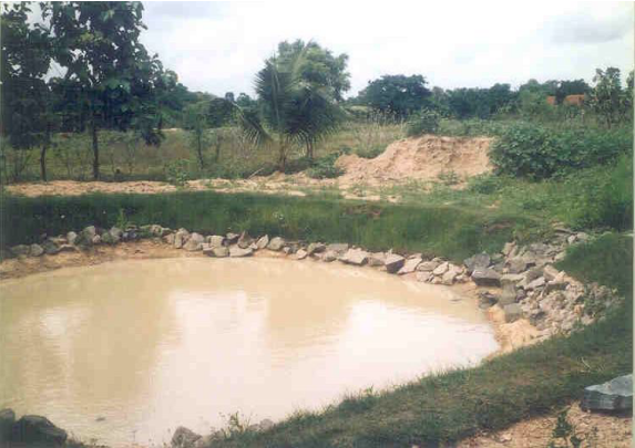 Water storage in a pond.png