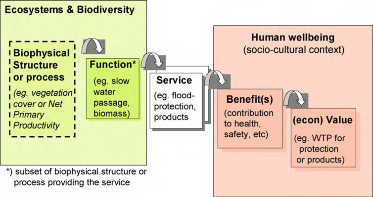 Framework for linking ecosystems to human well-being.png