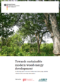 Towards sustainable modern wood energy development.PNG