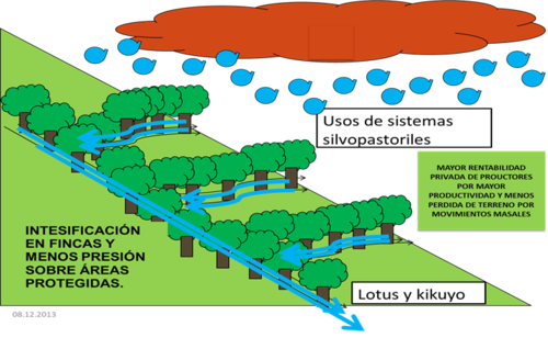 Agroforestry system in mountainside farms.png
