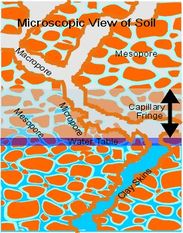 Microscopic view of soil.jpg