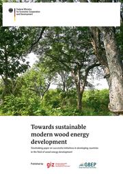 https://wocatpedia.net/wiki/File:Report_Wood-energy_aktuell_26-03-15.pdf
