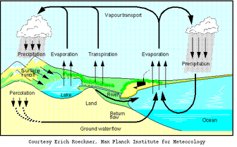 The hydrological cycle.png