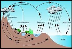 The hydrological cycle in a watershed. Precipitation is the main source of water: it flows through surface and groundwater bodies out of the watershed or is evaporated from surfaces and transpirated by plants