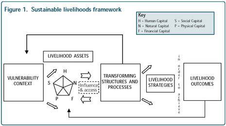 Sustainable livelihoods framework.png